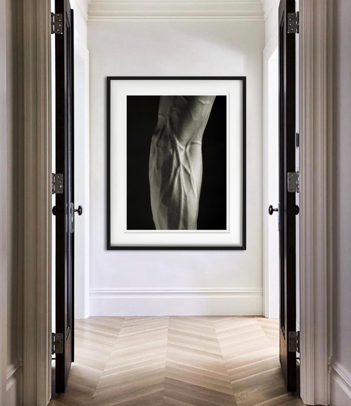 Djalil - Primo piano di un avambraccio muscolare, Fotografia d'autore, 2011 - Photograph di Andreas H. Bitesnich