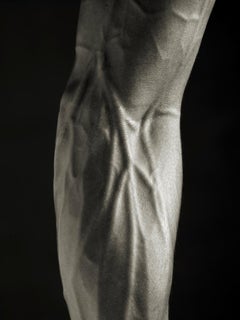 Djalil - Closeup of muscular Forearm, Fine Art Photography, 2011