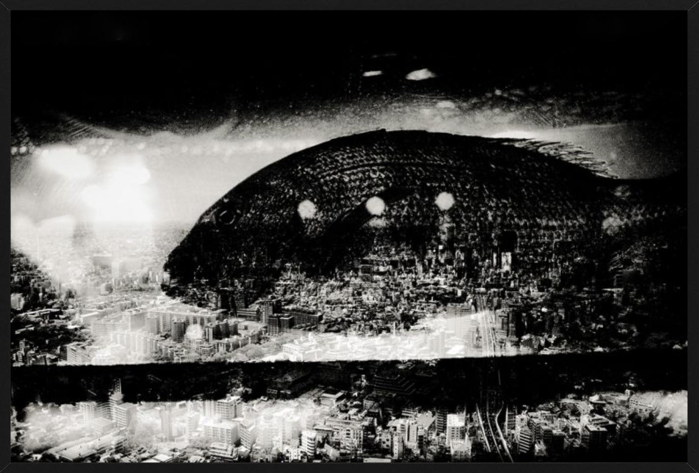 Fish over Tokyo - Tokyo city skyline with fish overlay - Deeper Shades Series For Sale 2