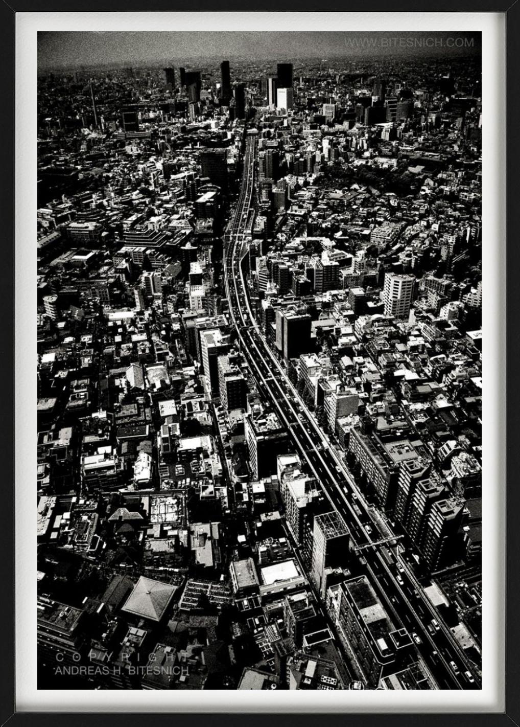 VIEW OVER TOKYO - Tokyo Japan, Deeper Shades, Fine Art Photography, 2012 For Sale 2