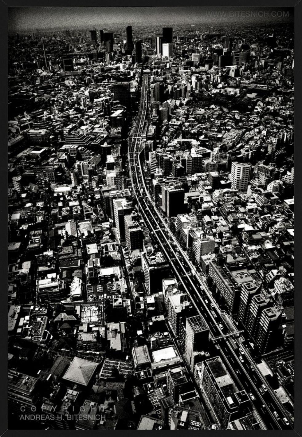 VIEW OVER TOKYO - Tokyo Japan, Deeper Shades, Fine Art Photography, 2012 For Sale 3