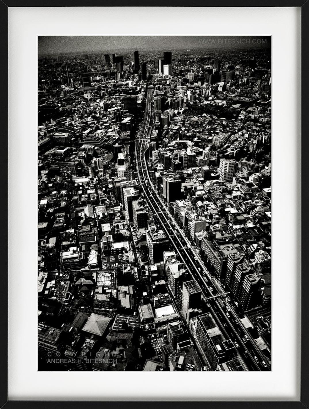 VIEW OVER TOKYO - Tokyo Japan, Deeper Shades, Fine Art Photography, 2012 For Sale 4
