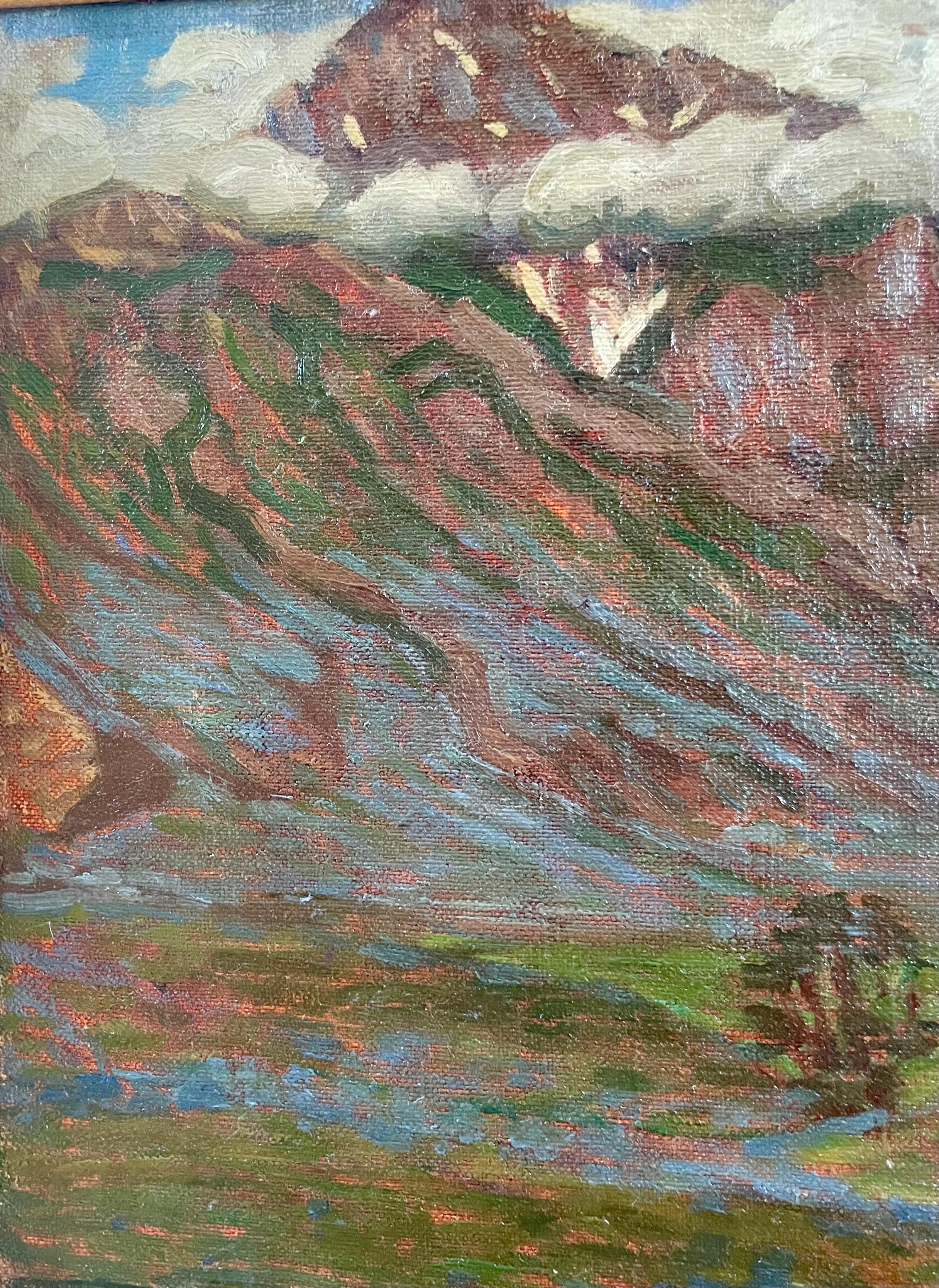 Vista di una montagna a Sonarmag, regione del Kashmir, Himalaya in vendita 3