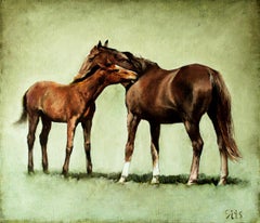 Vita di campagna, Pittura, Olio su tela