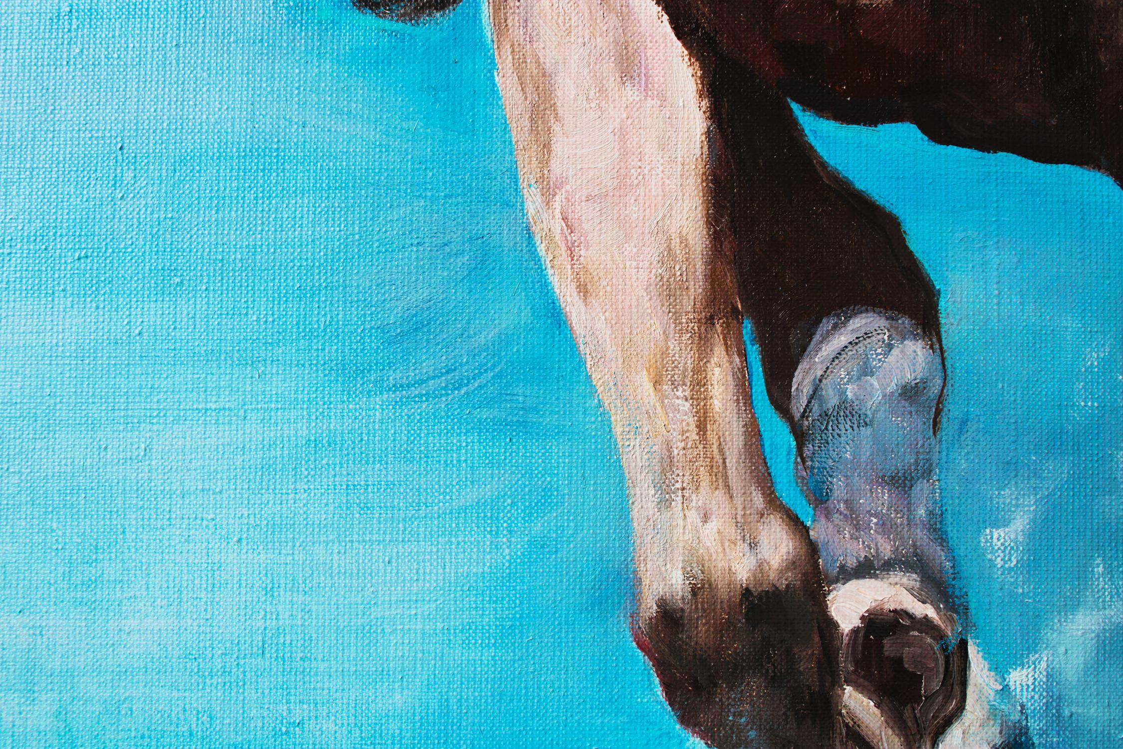 P.M. I. Serie cavalli in vendita 3