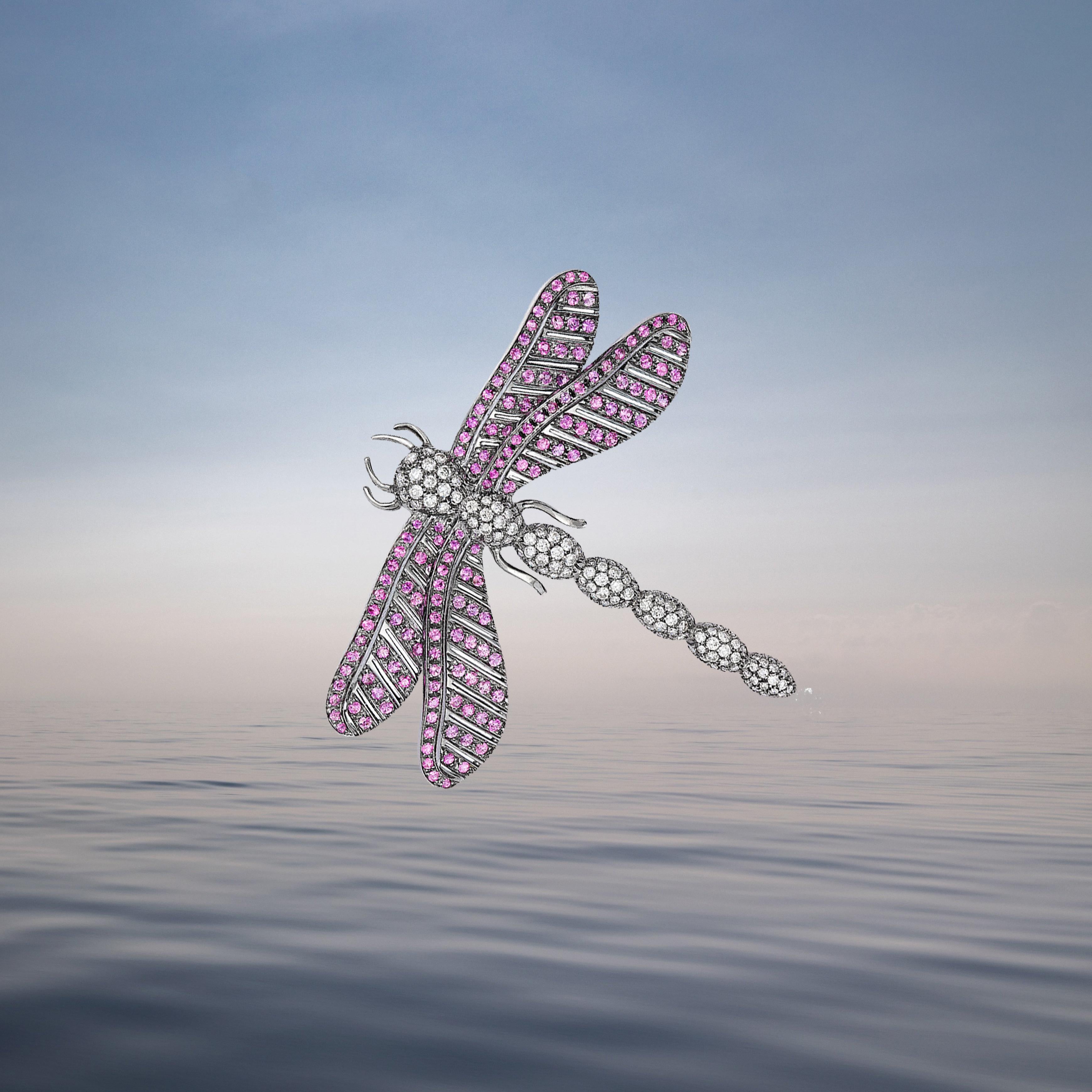 Andreoli Dragonfly Pink Sapphire Diamond Black Rhodium Brooch Pin 18 Karat White 1