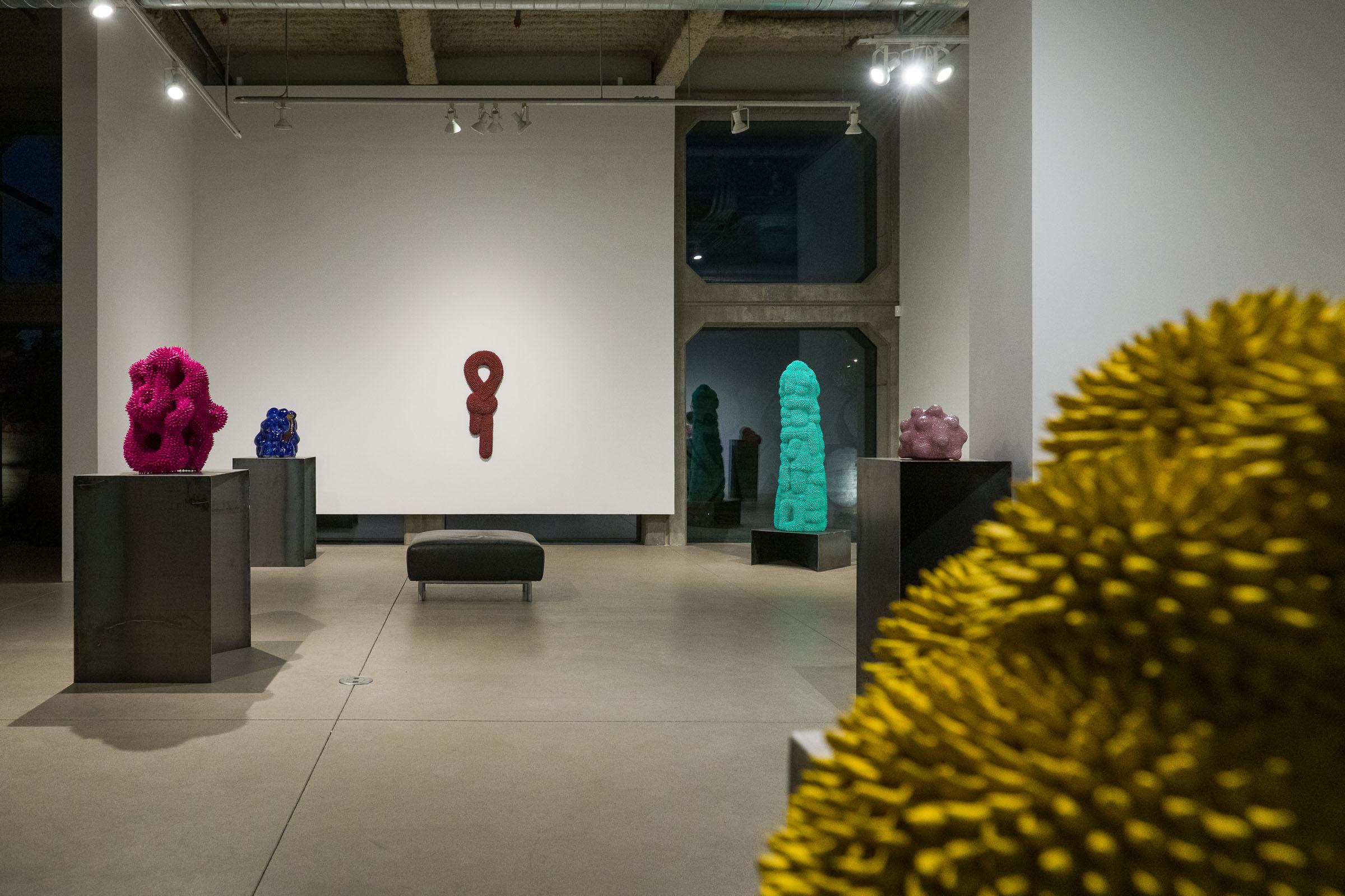 Born Monterrey, Mexico 1991.

Graduated from the Bachelor of Arts at the University of Monterrey. (2014)
Andrés uses ceramics as a medium to create amorphous beings that seem to belong to a known ecosystem but result unrecognizable because they are