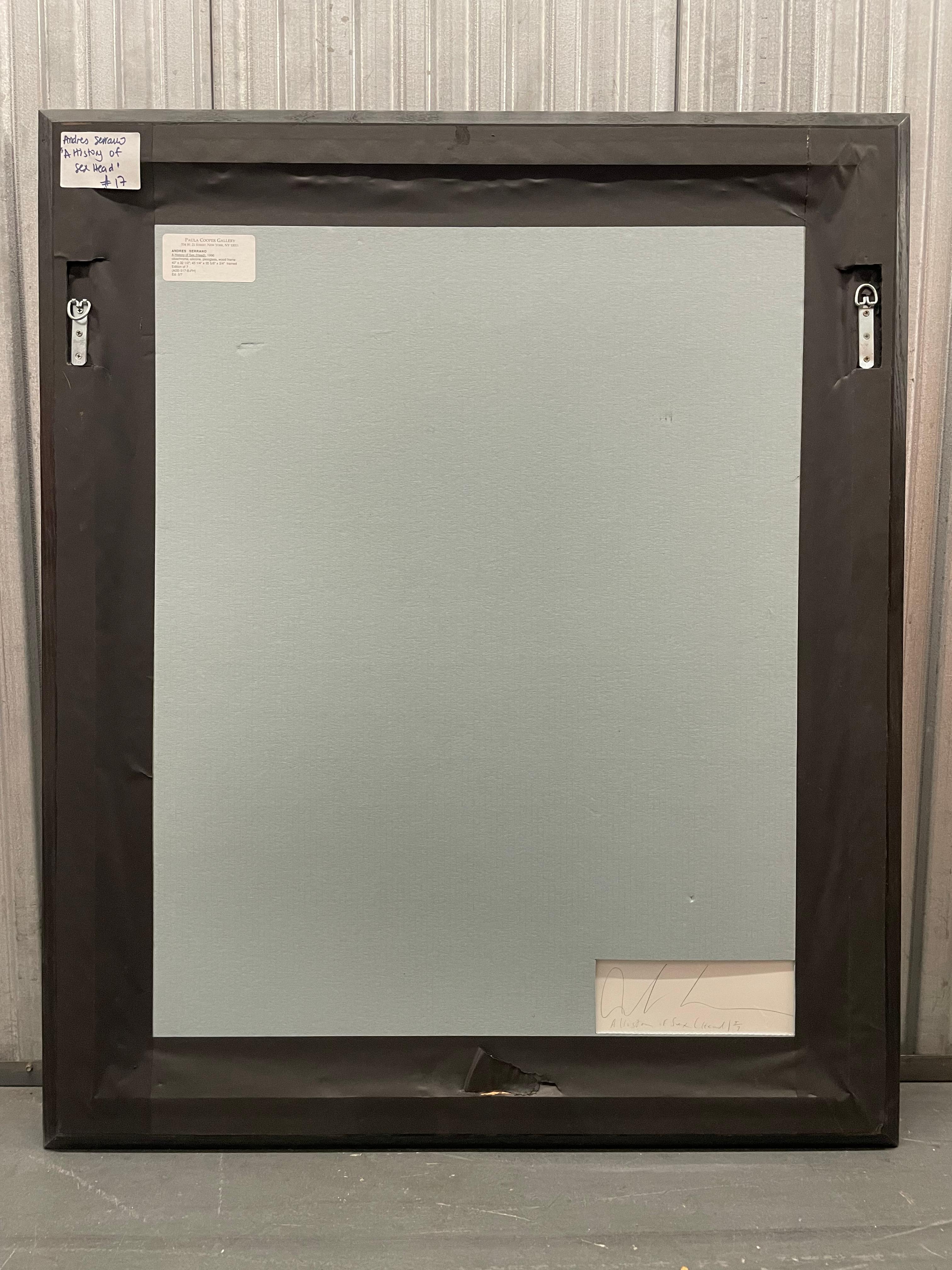 In the portraits of The History of Sex, taken in 1996 in the Netherlands, the camera looks directly at the models, who respond in kind. Eyes first seems to be the guiding principle of most of the portraits that address the culture of