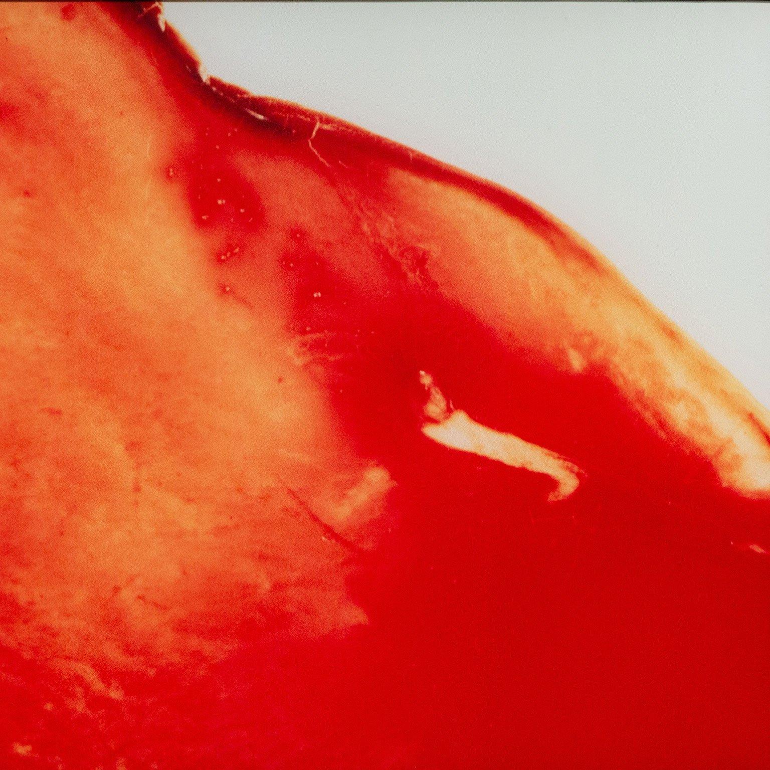 Blood + Semen V - Photograph by Andres Serrano