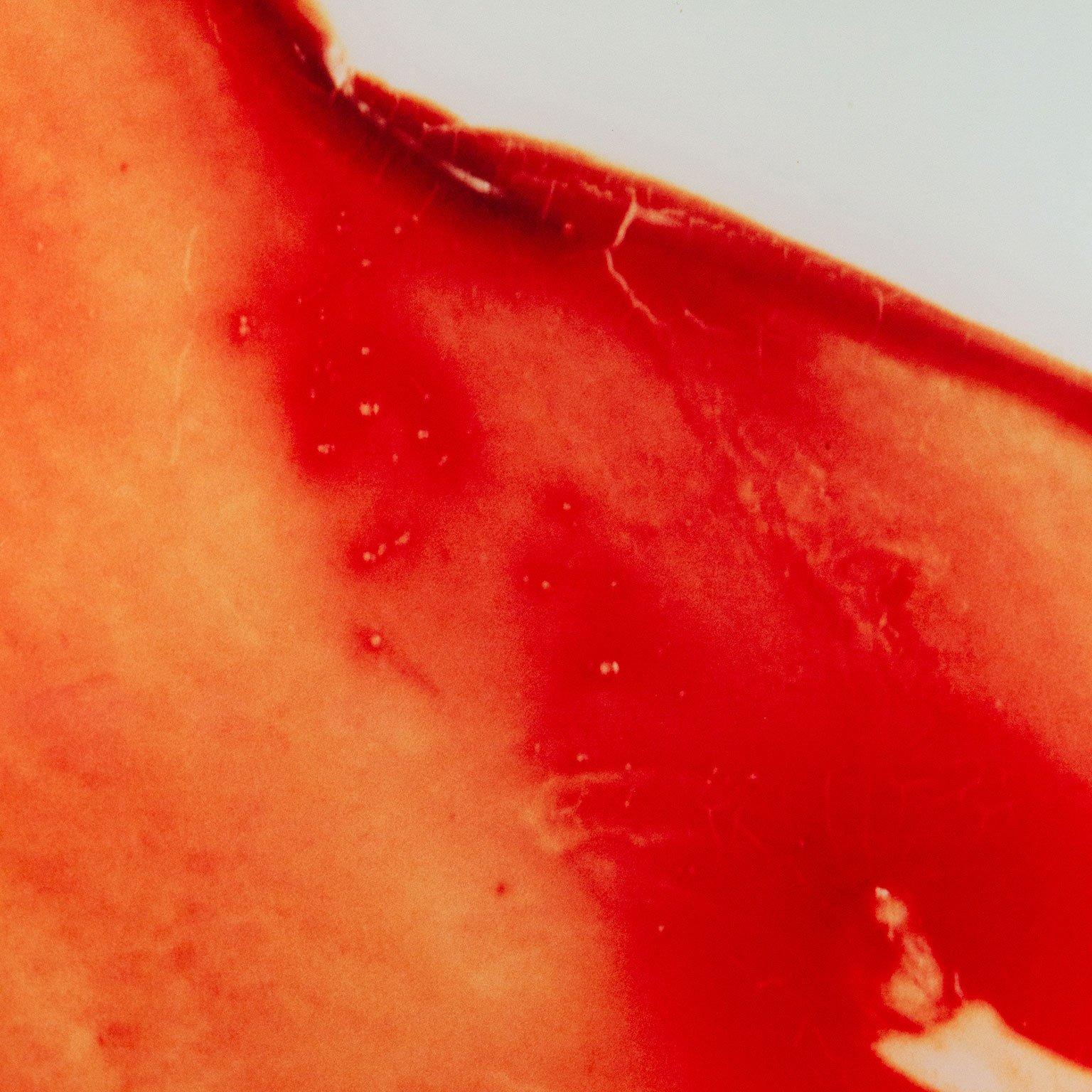 Blood + Semen V - Beige Abstract Photograph by Andres Serrano