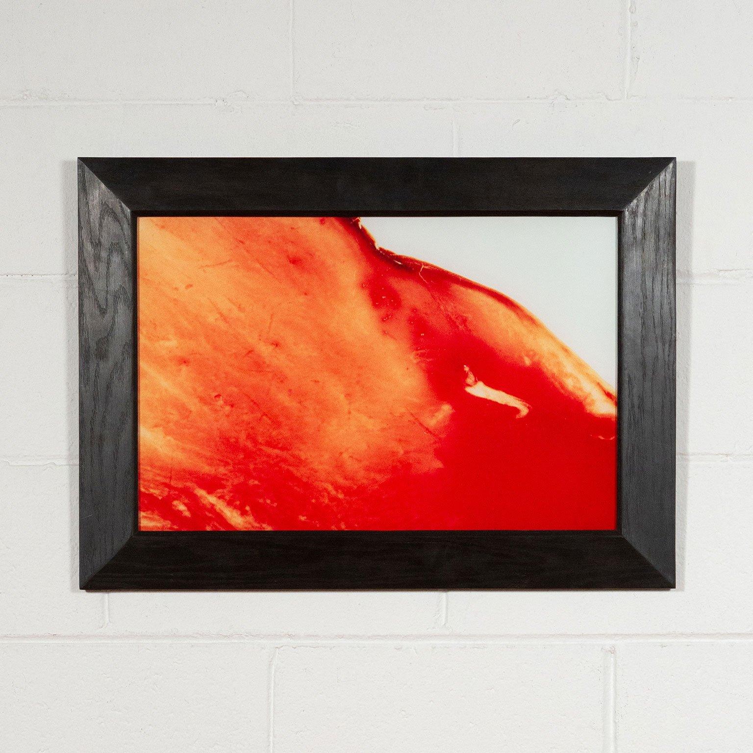 Andres Serrano Abstract Photograph - Blood + Semen V