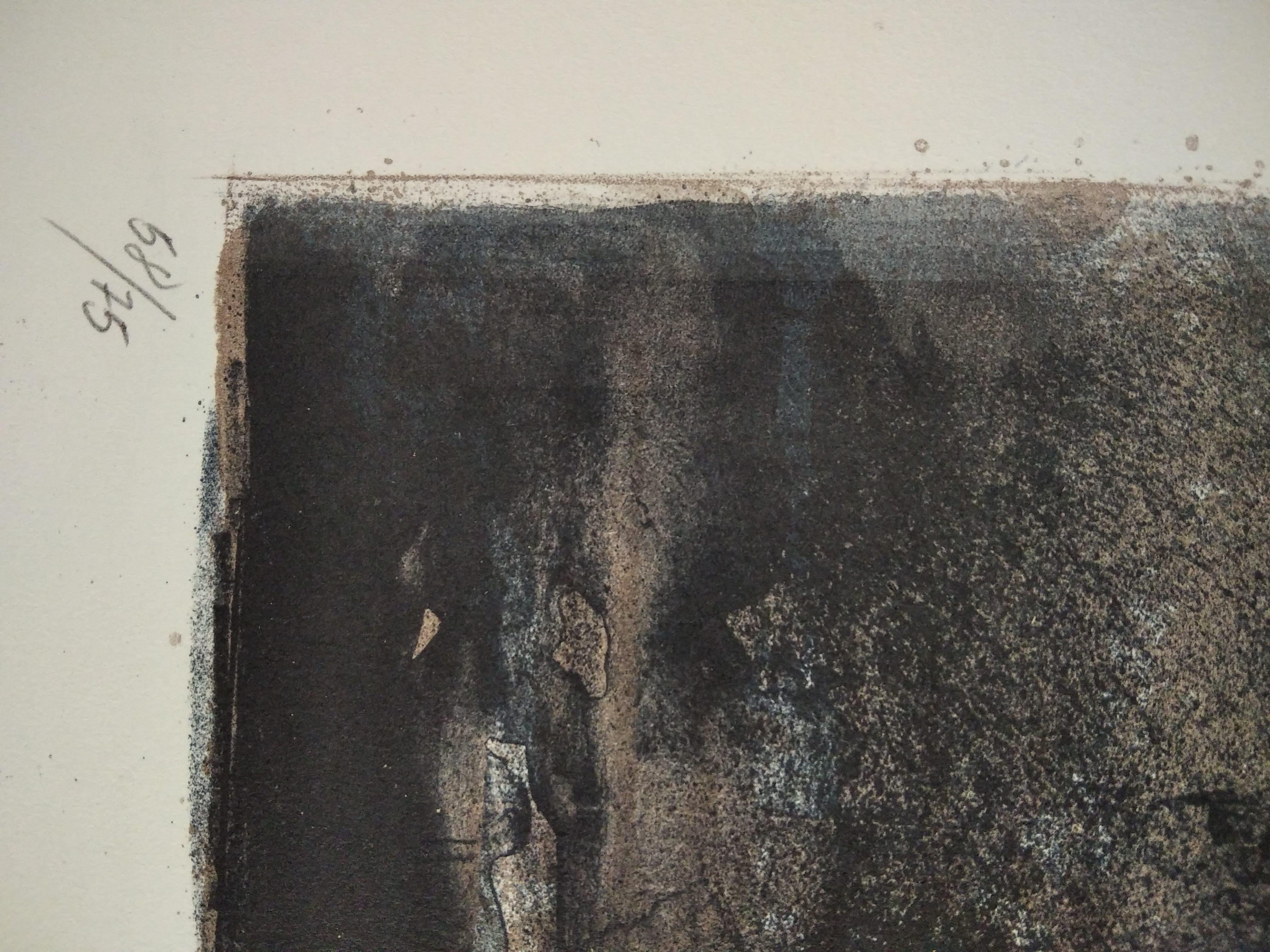 Senza titolo - Figurative Painting Grigio di Andreu Fresquet 