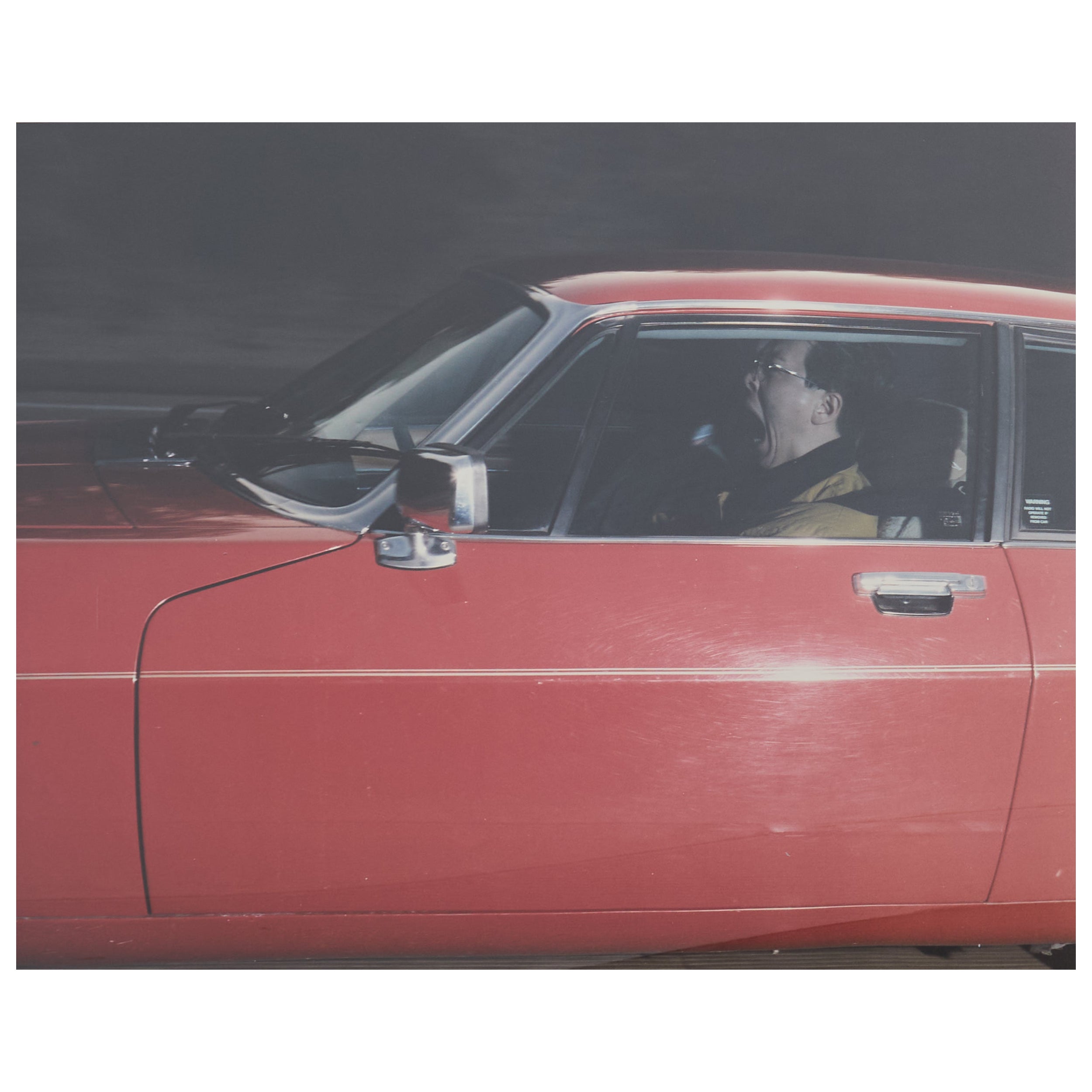 Andrew Bush Vektor-Porträt "Schreiendes Gähnen" 1993 im Angebot