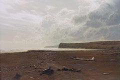 Andrew Coates (1955-) ORIGINAL RARE Realist Oil Painting NEW ZEALAND COAST