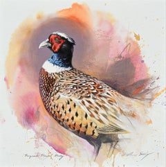 Ringneck Pheasant