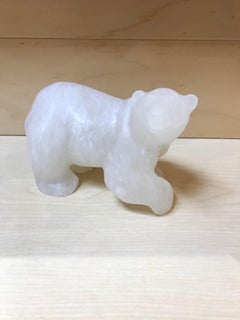 Petit ours polaire