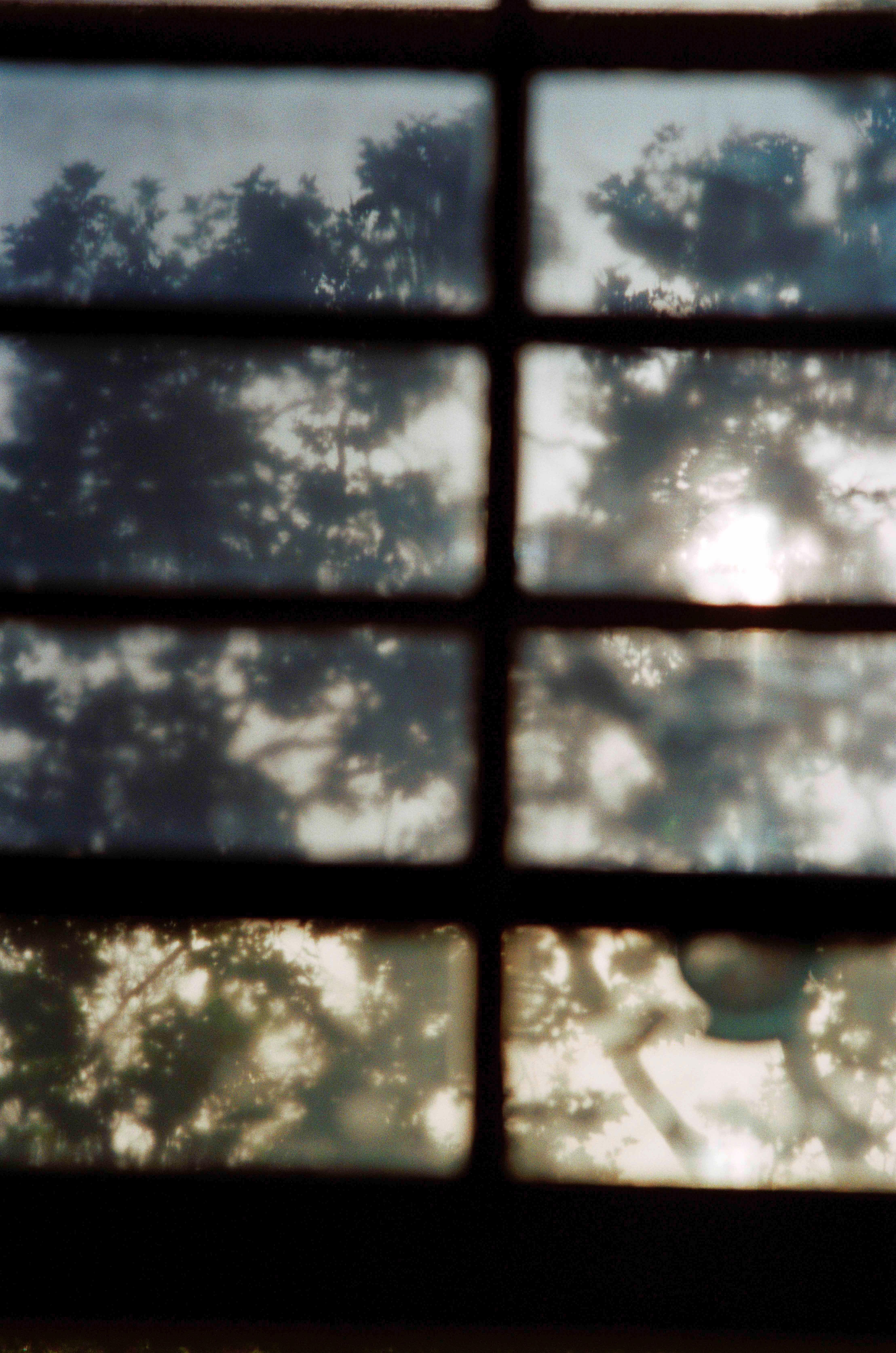 Andrew George Abstract Photograph – Erics Window