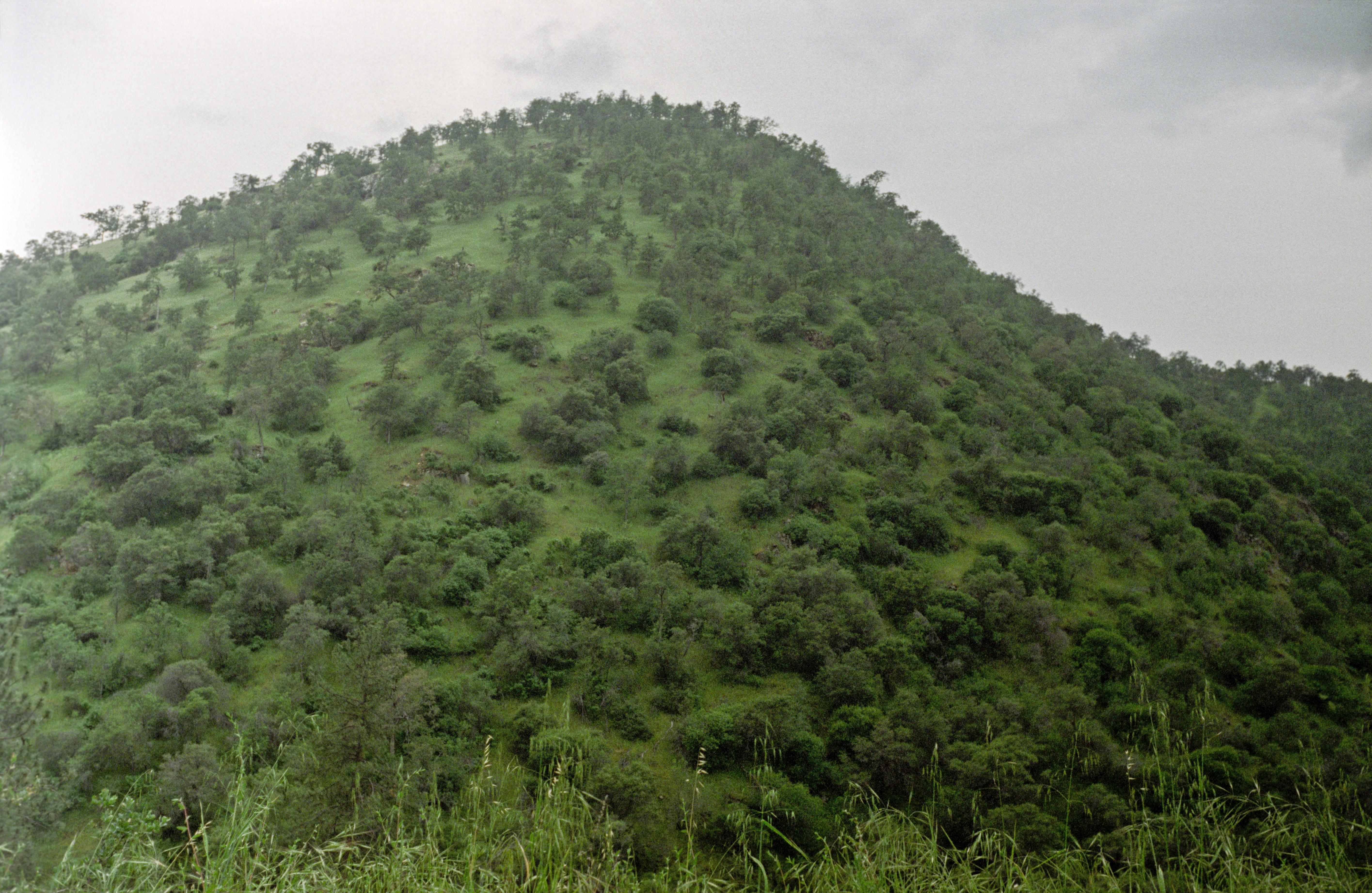 Andrew George Landscape Photograph – Greenhills