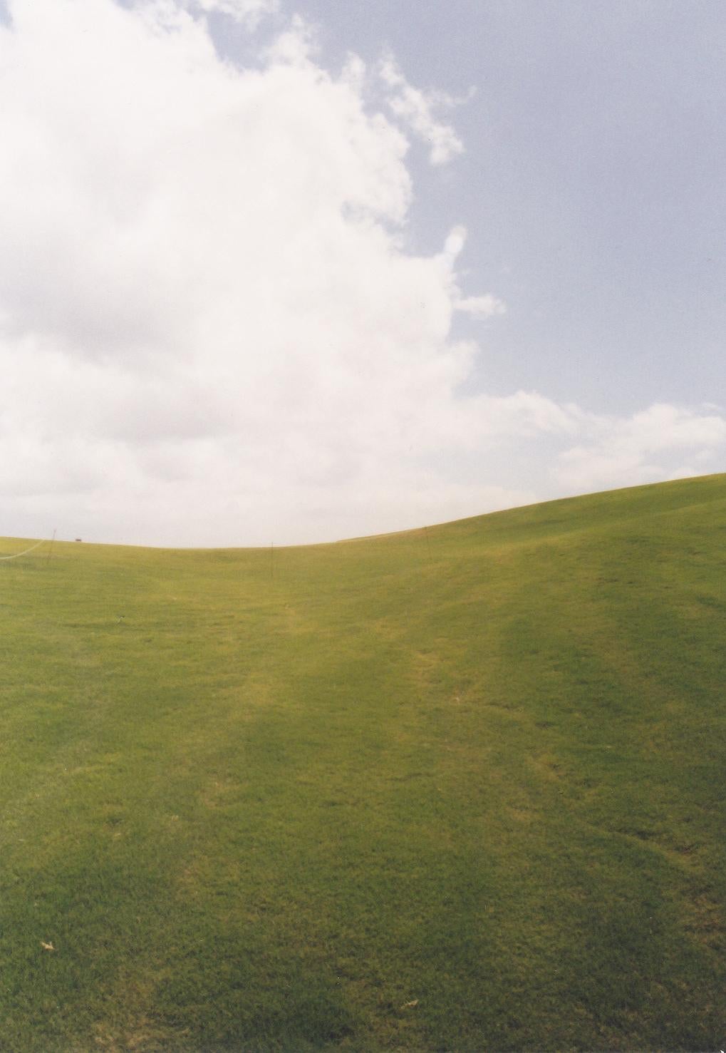Andrew George Color Photograph – Okay