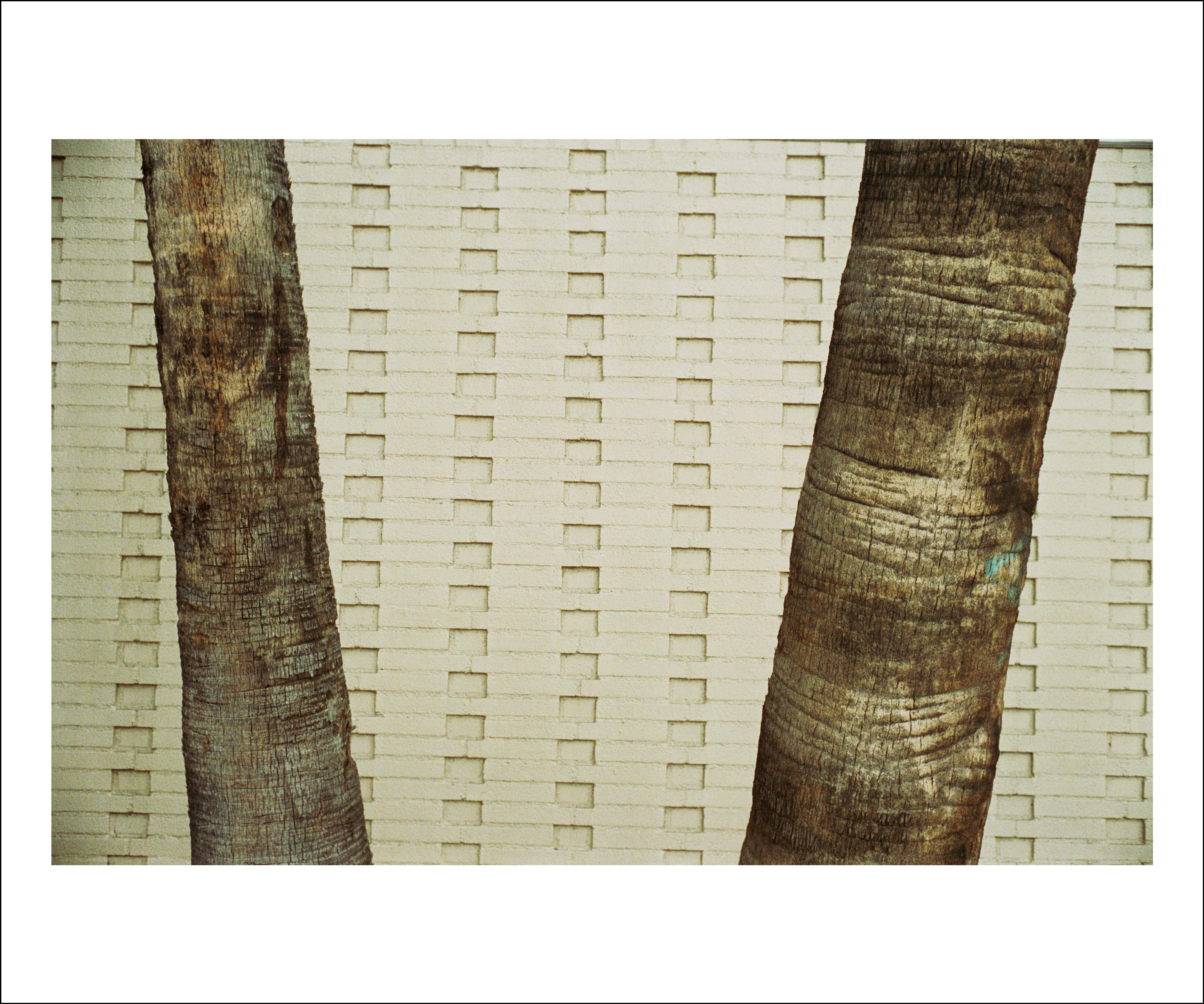 Abstract Photograph di Andrew George - Sorelle 2