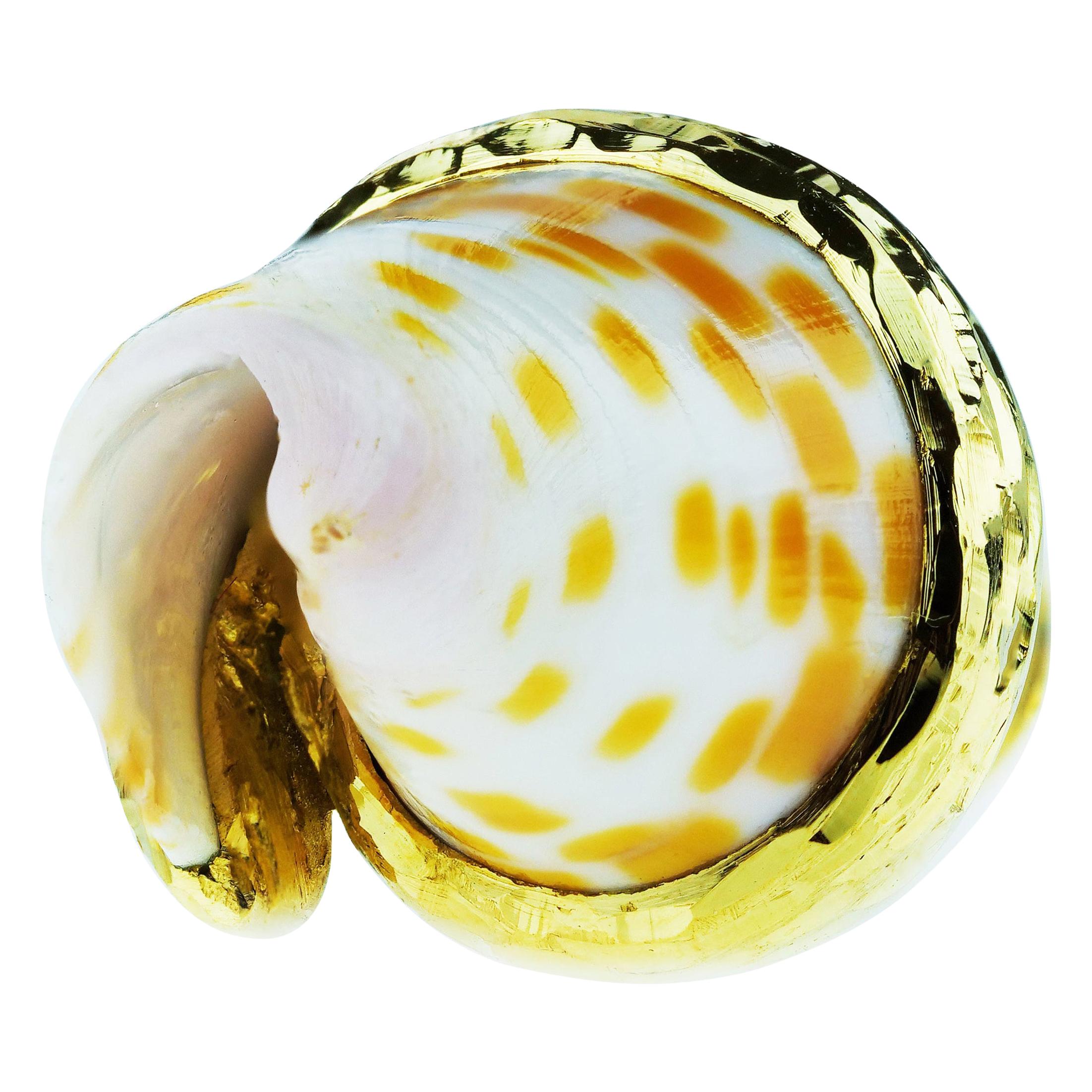 Andrew Grima Shell Tie Pin in 18 Karat Gold, 1970s Super Shell Collection, Retro