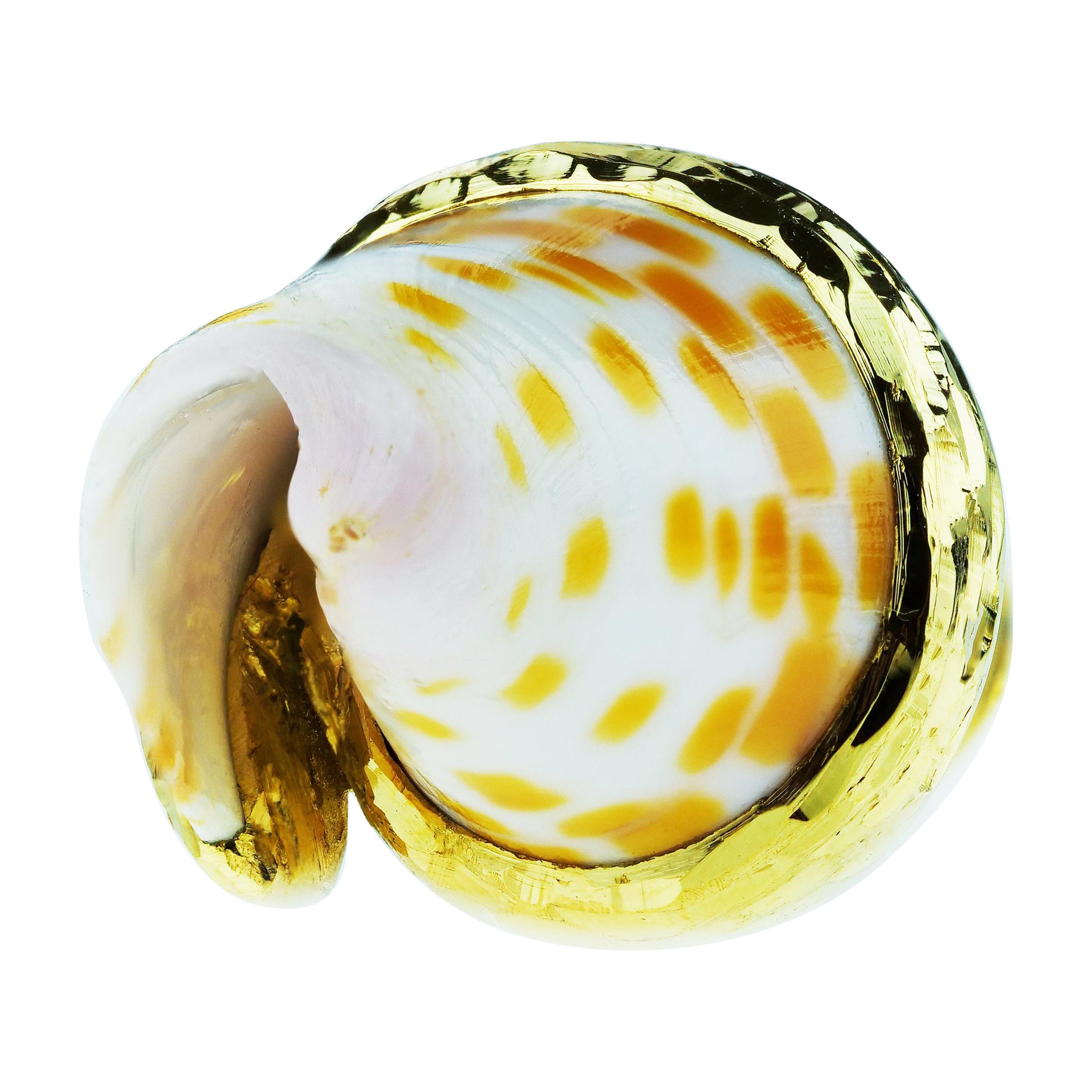 Andrew Grima Shell Tie Pin in 18 K Gold, from 1972 Super Shell Collection, Retro
