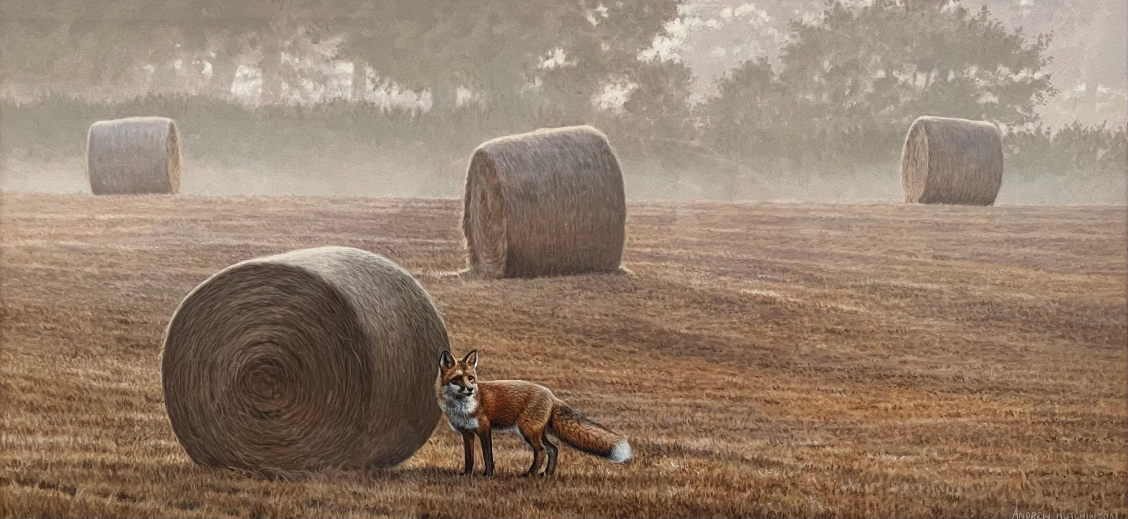Fuchs inmitten der Hay Bales am Misty Morning in einem Feld in der englischen Landschaft im Angebot 10