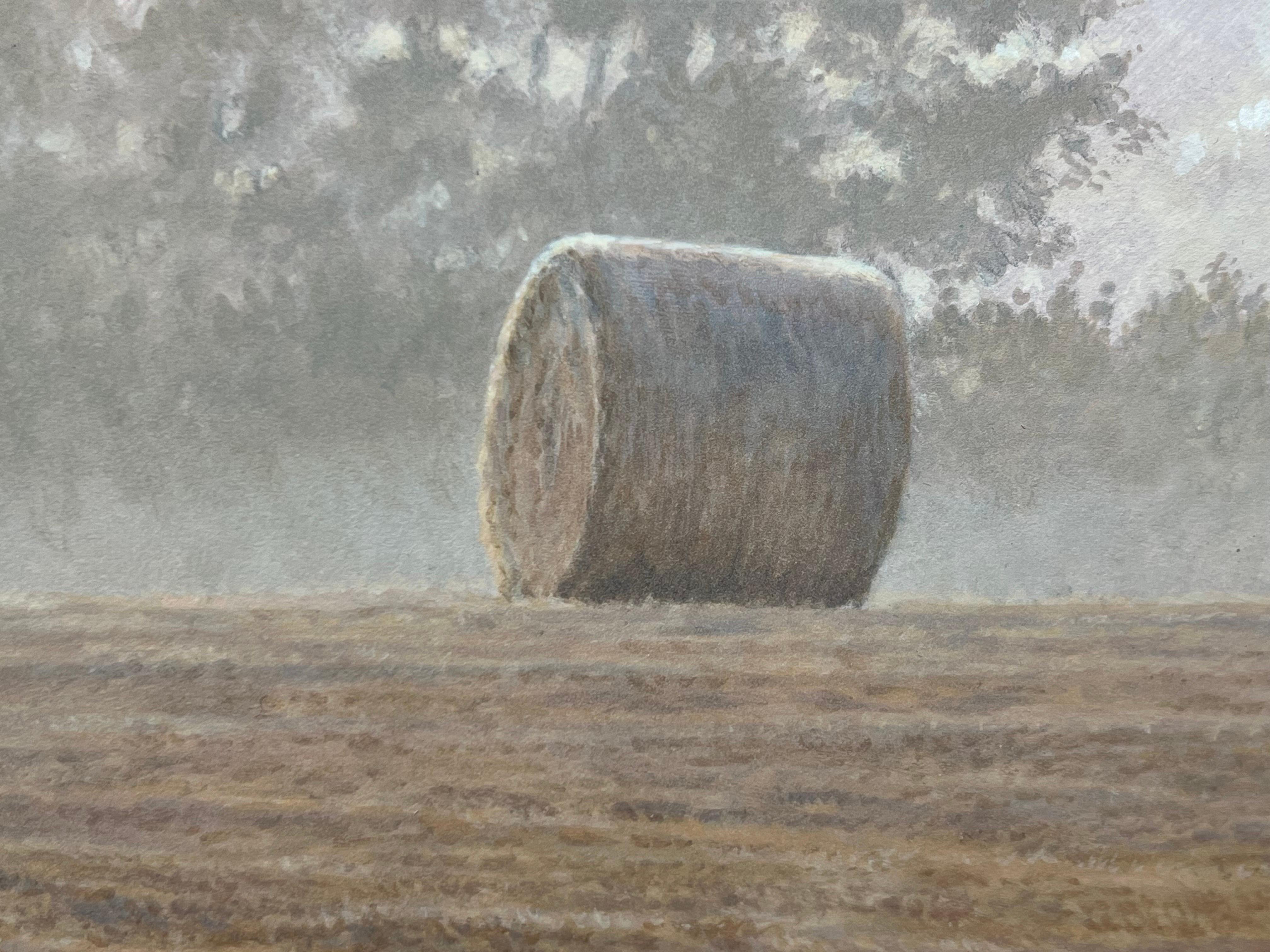 Fuchs inmitten der Hay Bales am Misty Morning in einem Feld in der englischen Landschaft im Angebot 12