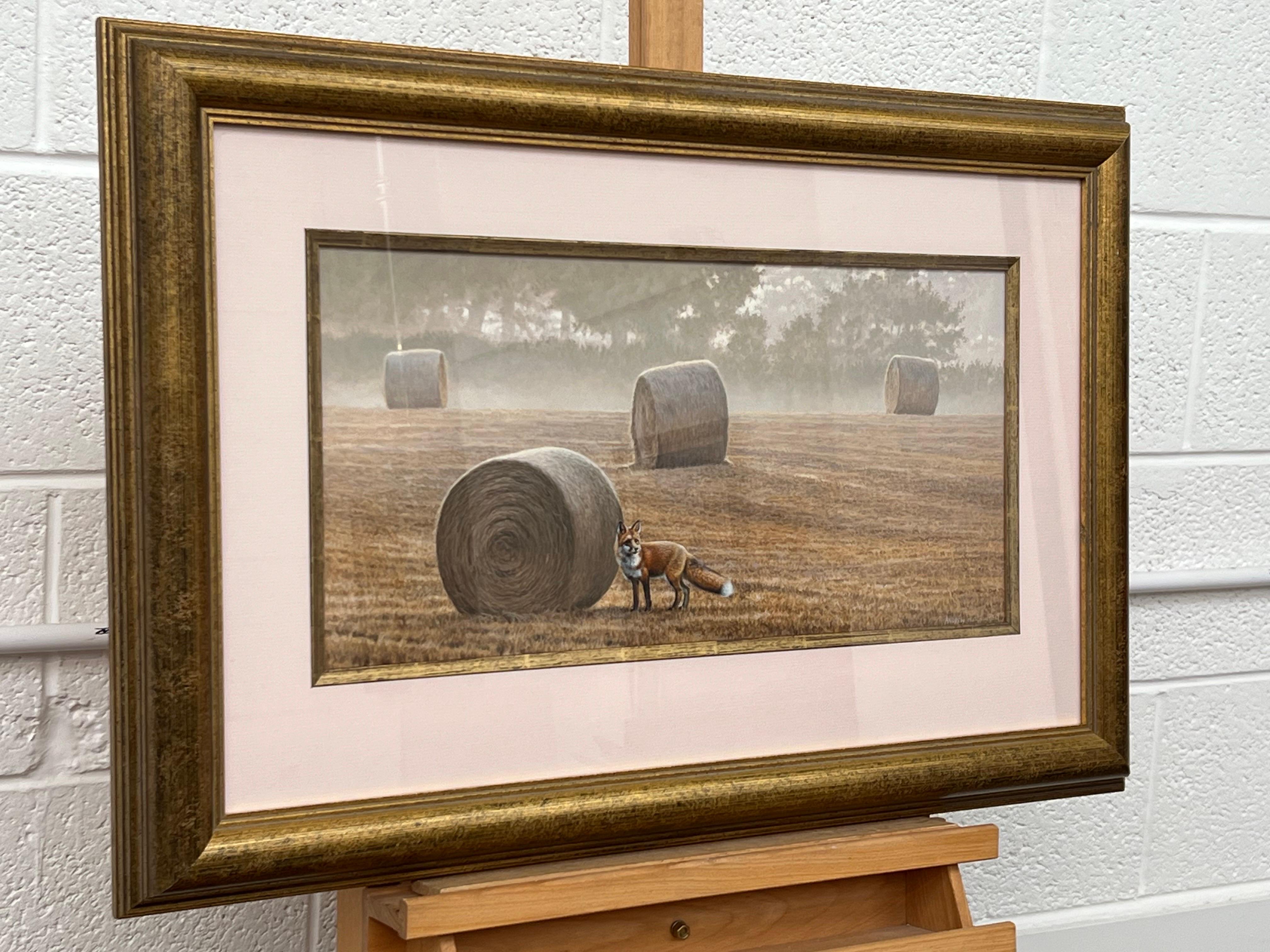 Fuchs inmitten der Hay Bales am Misty Morning in einem Feld in der englischen Landschaft – Art von Andrew Hutchinson