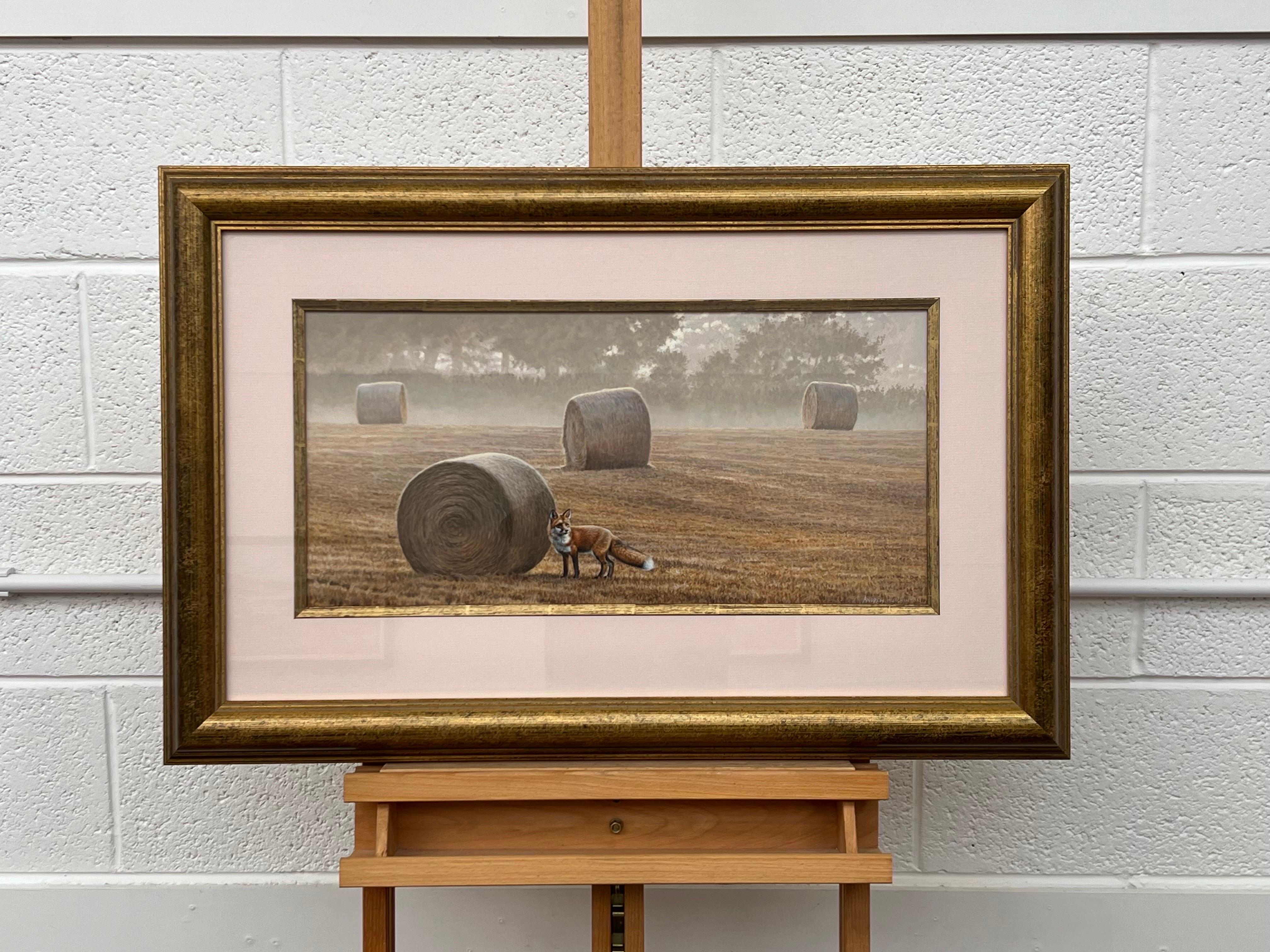 Fuchs inmitten der Hay Bales am Misty Morning in einem Feld in der englischen Landschaft (Zeitgenössisch), Art, von Andrew Hutchinson