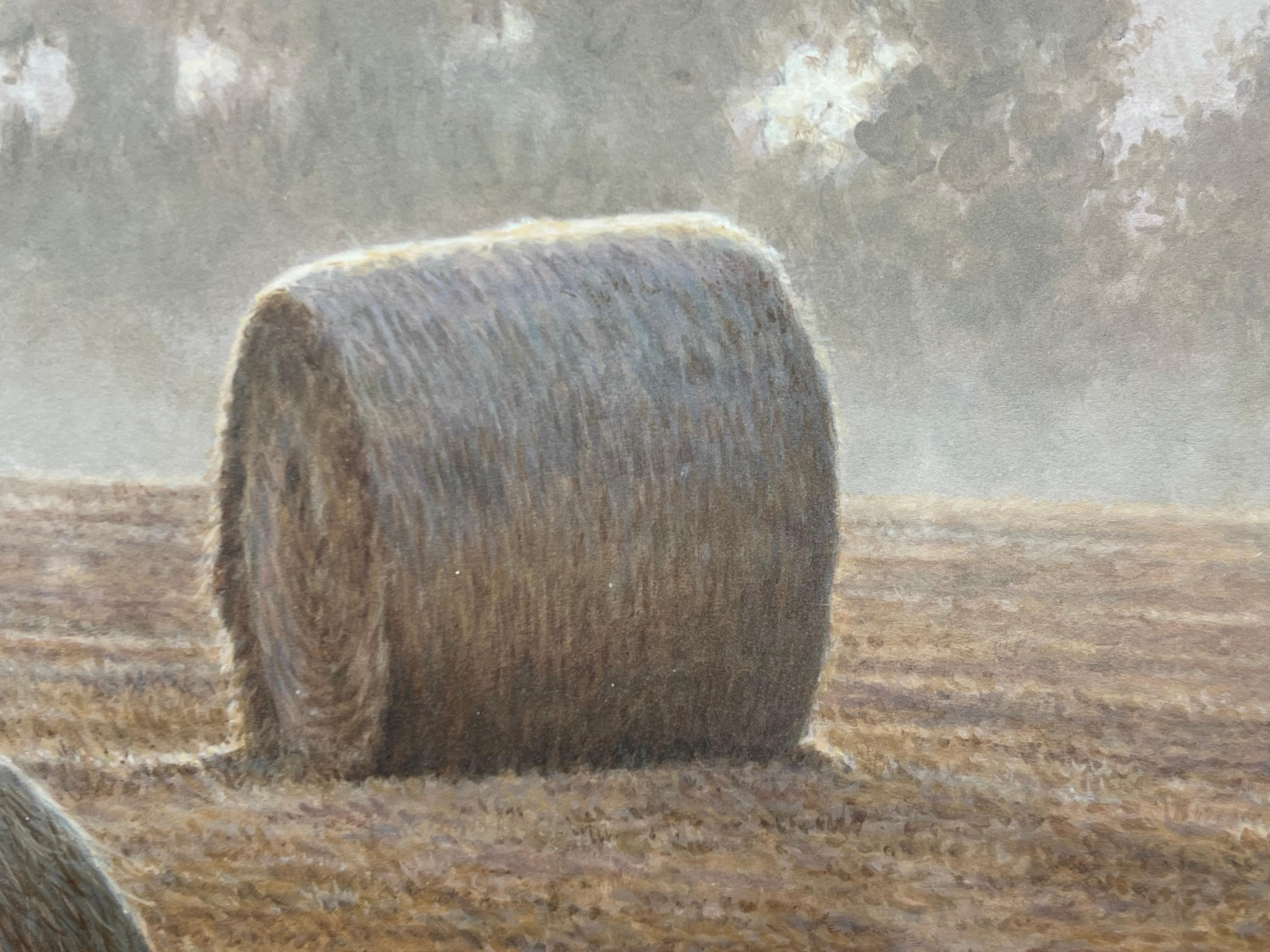 Fuchs inmitten der Hay Bales am Misty Morning in einem Feld in der englischen Landschaft im Angebot 1
