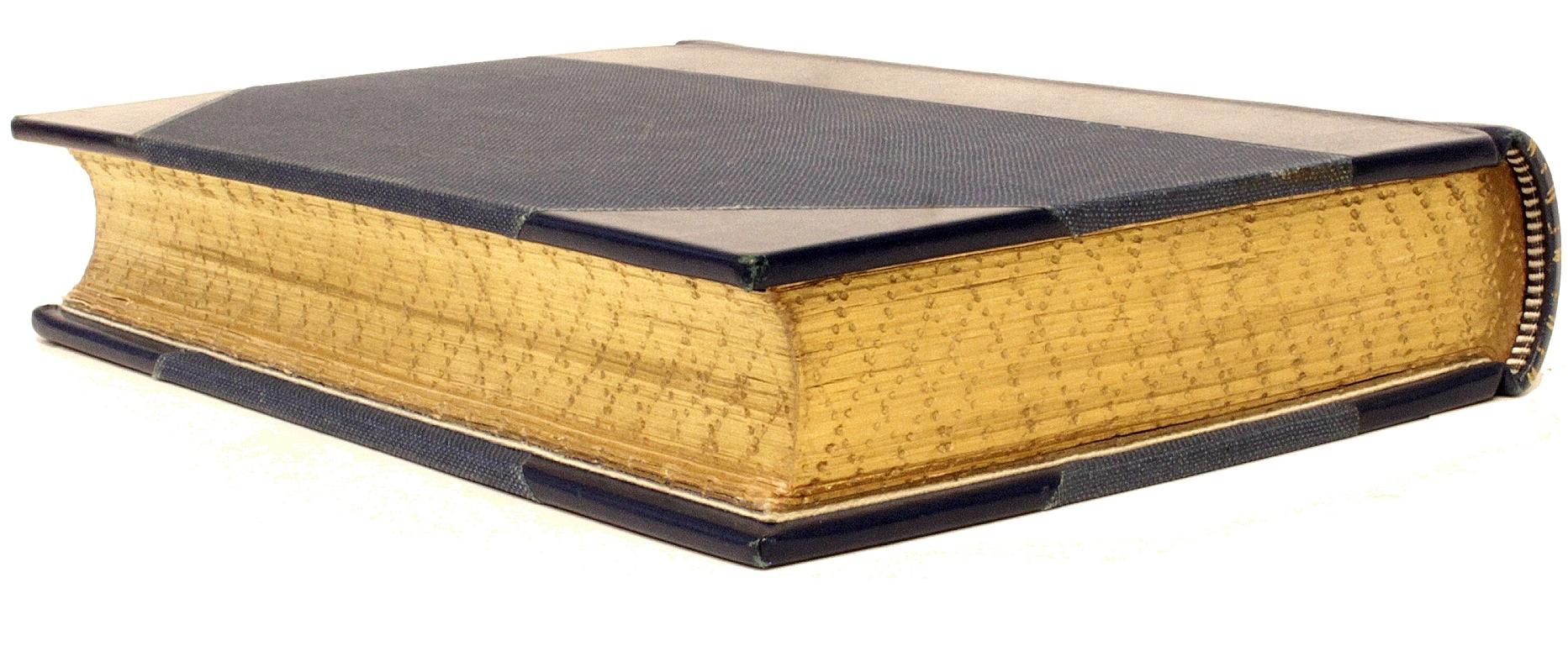 Britannique Andrew Lang, le livre de poésie bleu, copie de la présentation du rédacteur en chef, 1891 en vente