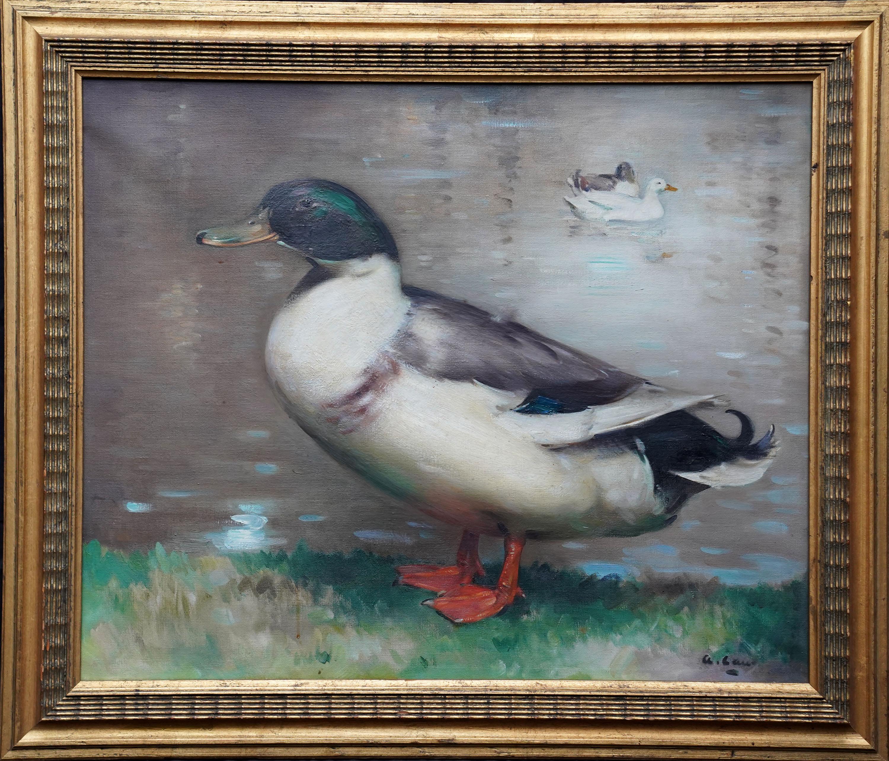 Retrato de pato azulón Drake - Pintura al óleo escocesa de arte animal de 1920 en venta 6