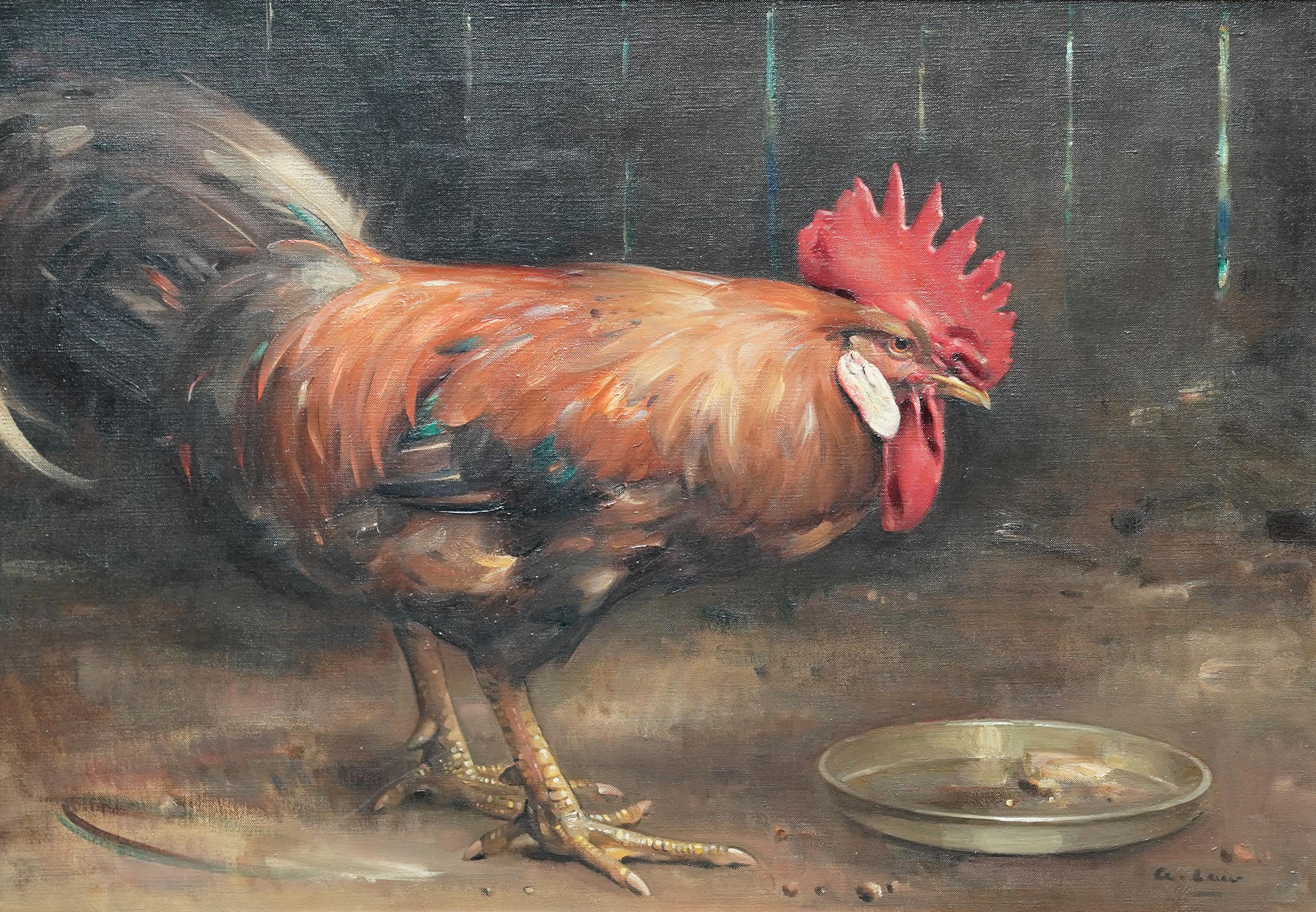 Portrait d'un coq dans une grange - peinture à l'huile écossaise d'art animalier des années 20 - Painting de Andrew Law