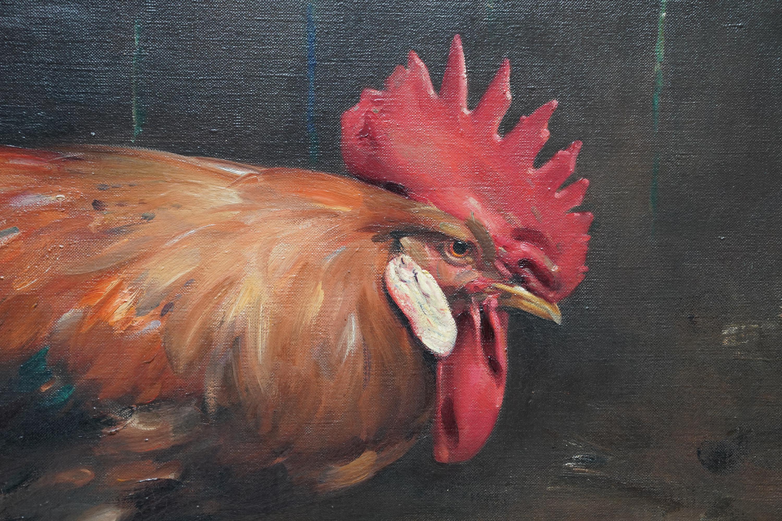 Portrait d'un coq dans une grange - peinture à l'huile écossaise d'art animalier des années 20 - Gris Animal Painting par Andrew Law