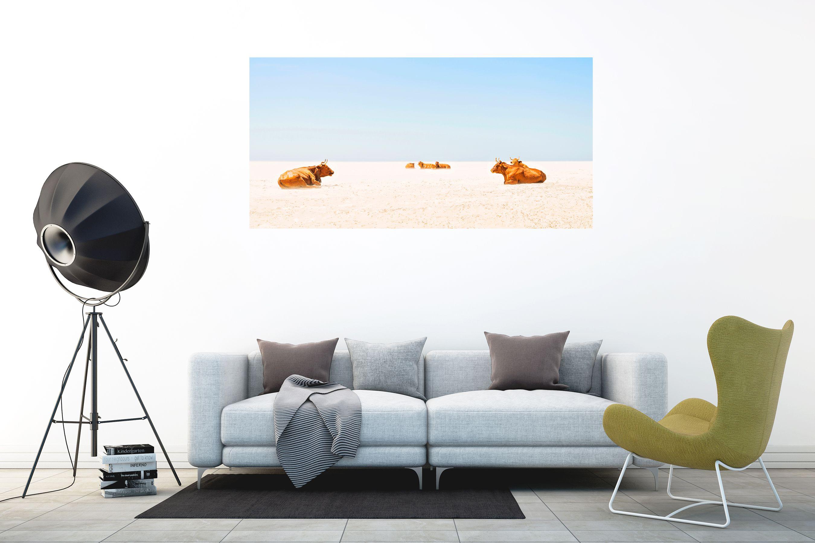 An amusing colour photographic print of cows sunbathing on a sandy beach in Tarifa, Southern Spain.    C Type Colour Print    Fuji Professional Matt Paper    Limited Edition Print    Signed Certificate of Authenticity     :: Photograph :: Color ::