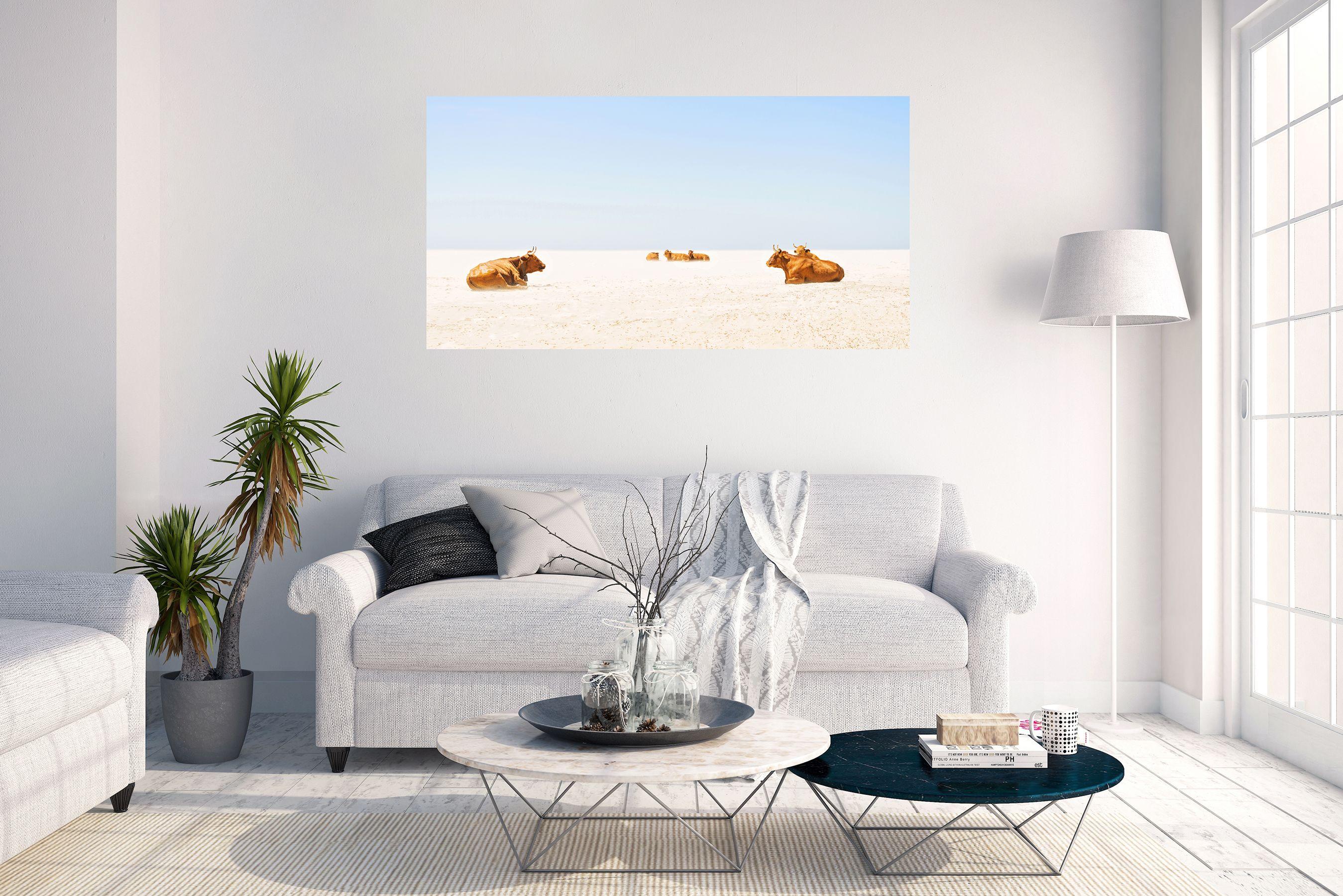 SUNBATHING COWS, Photograph, C-Type For Sale 1
