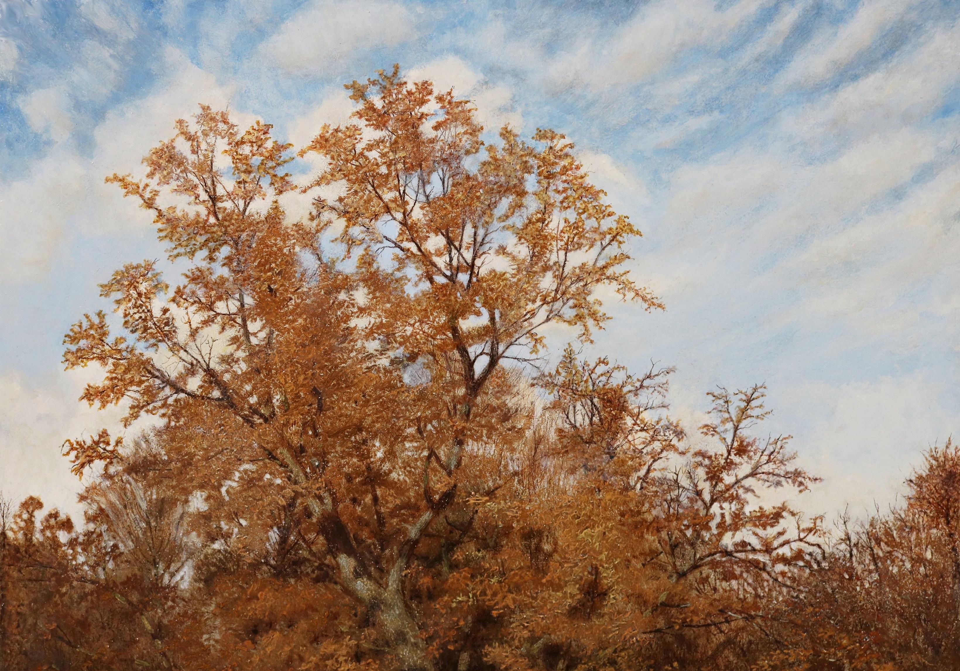 Scion of a Noble - 19ème siècle Exposition Peinture à l'huile Paysage forestier anglais - Marron Animal Painting par Andrew MacCallum