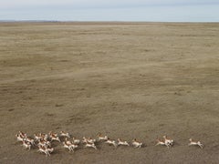 Andrew Moore – Antelope, Fotografie 2013, Druck nach