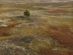 Andrew Moore - Autumn Grasses, Sheridan County, Fotografie 2013, Druck nach