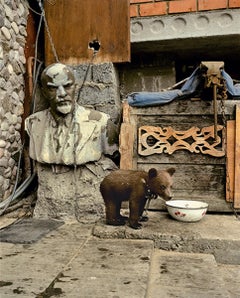 Andrew Moore - Baby Bear, photographie de 2003, imprimée d'après