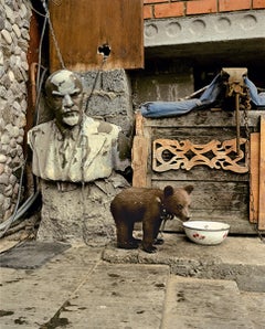 Andrew Moore - Bebé Oso, Fotografía 2003, Impreso después de