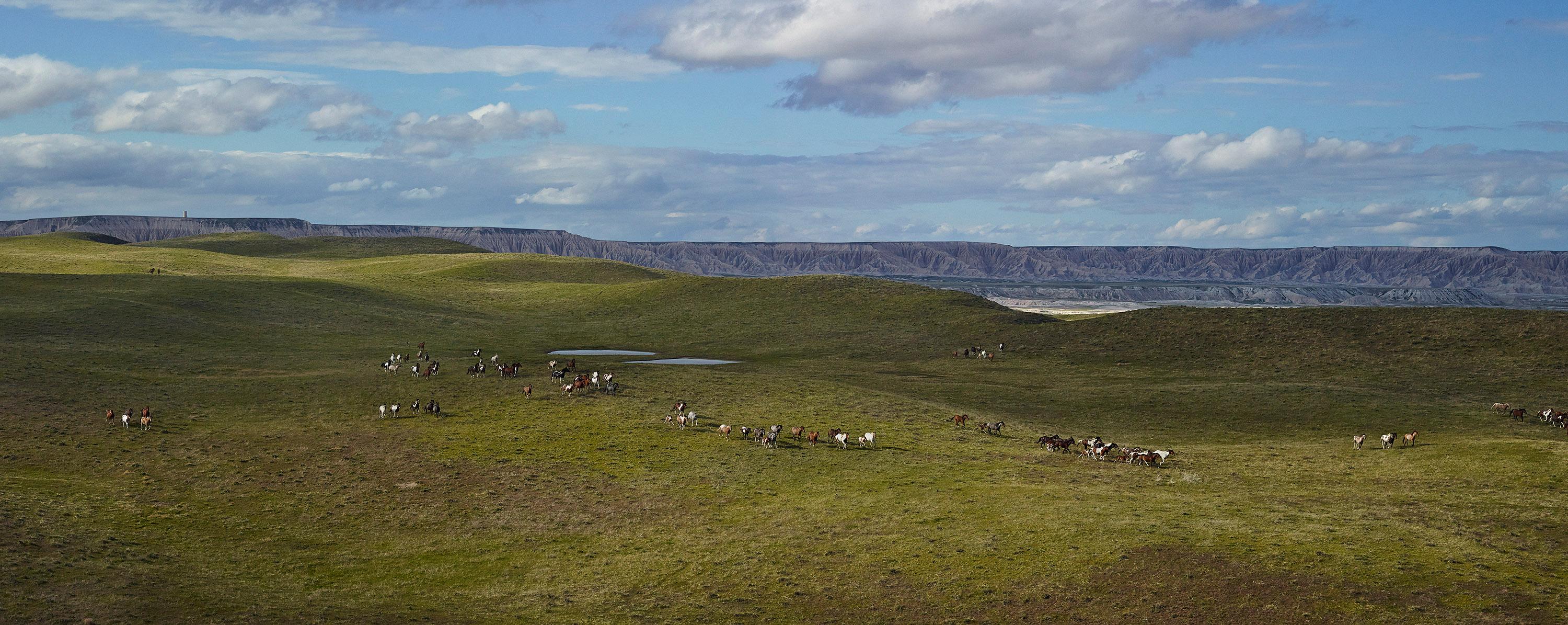 Andrew Moore - Ponis de Badland, Fotografía 2014, Impresión posterior