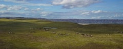 Andrew Moore - Badland Ponies, Photography 2014, Printed After