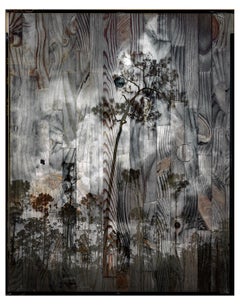)Andrew Moore - Sol Negro, Fotografía 2015, Impreso después de