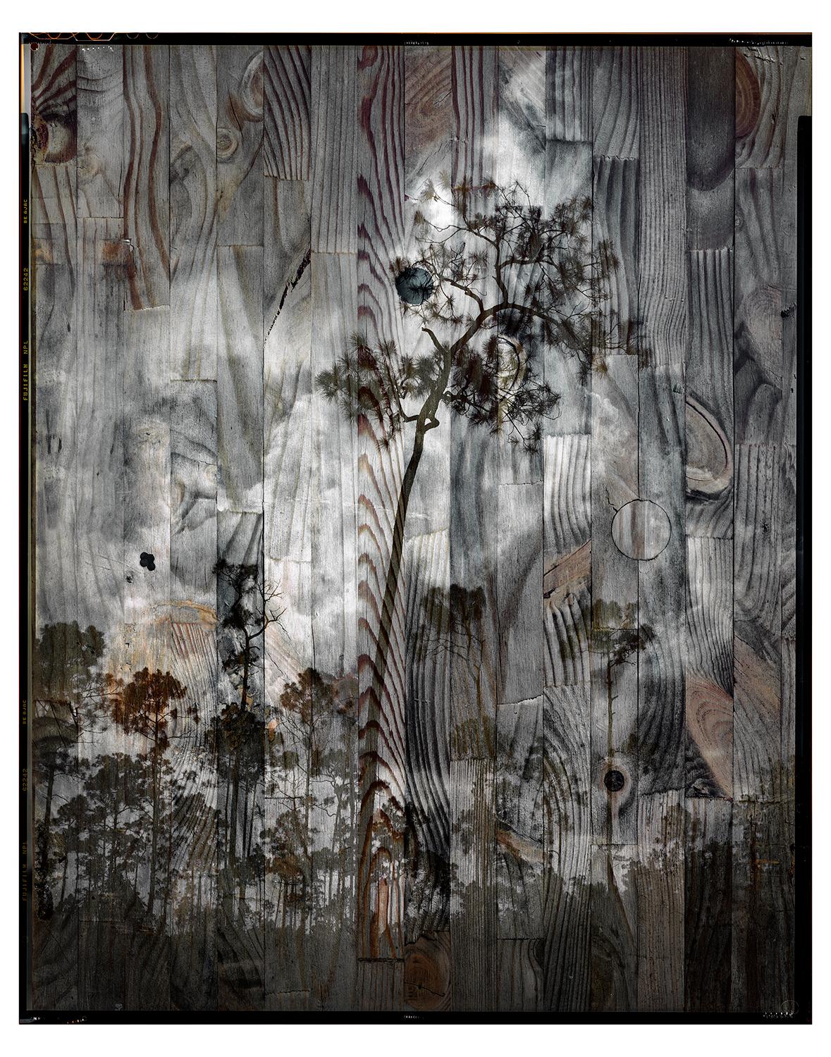 )Andrew Moore - Black Sun, Photography 2015, Printed After