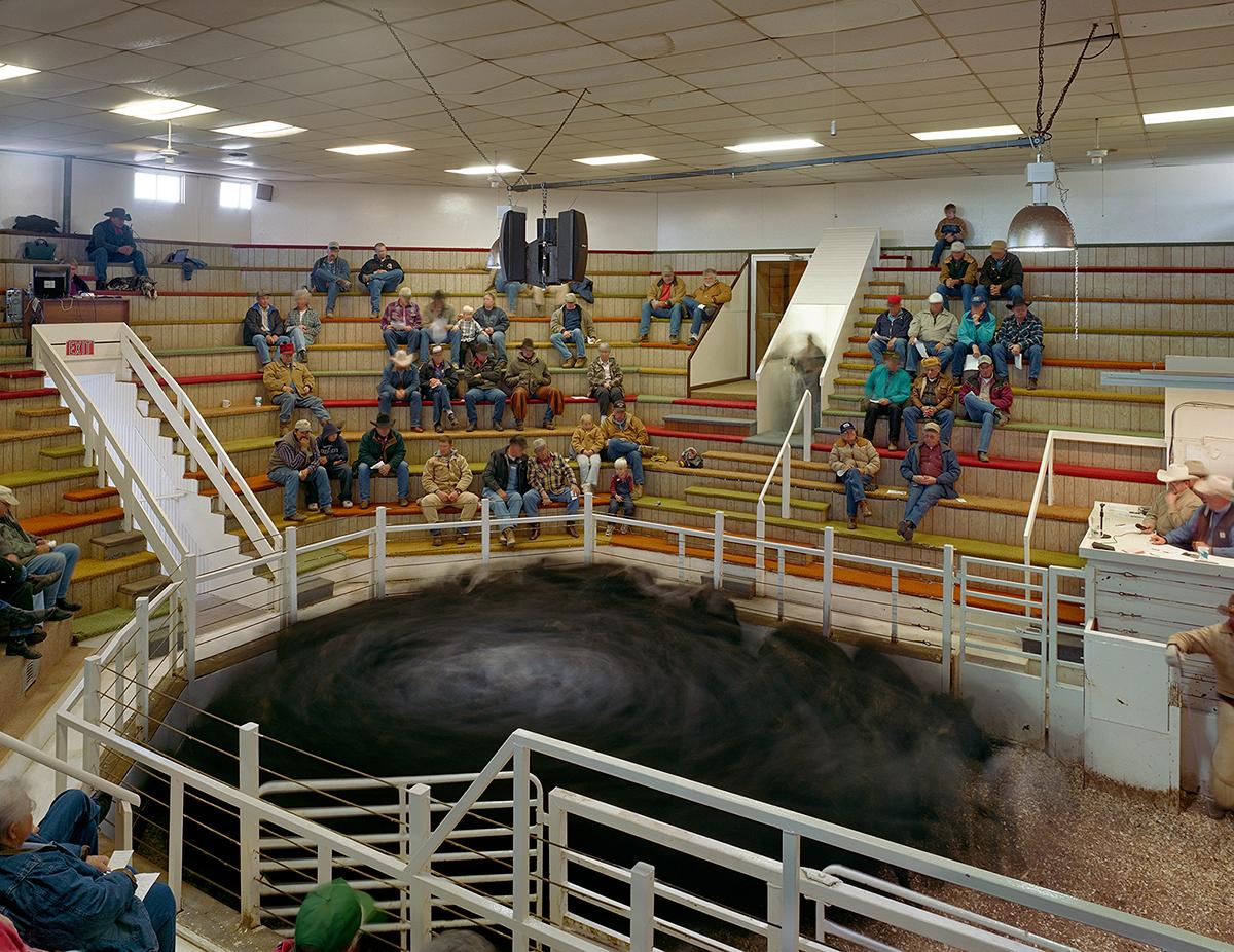 Archival Pigment Print

Bassett is one of the state’s top auction houses.  But generally ranchers refer to these places as “sale barns.” Most towns of any size in cattle country have one. Be it for calves or cows, every rancher relies heavily on the