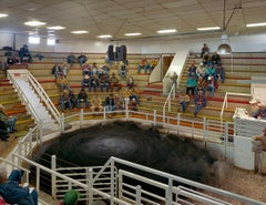 Andrew Moore - Cattle Auction, Photography 2005, Printed After