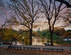 Andrew Moore – CENTRAL PARK HERON, Fotografie 2005, Nachdruck