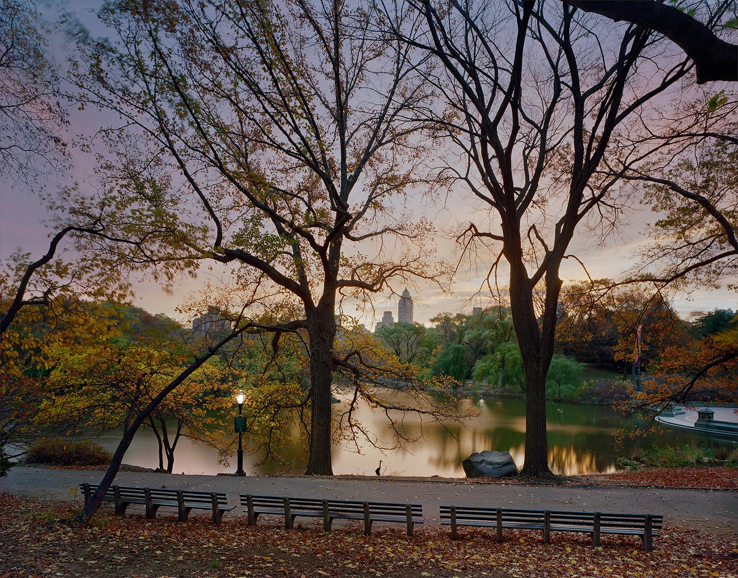 Archival Pigment Print

West side of Park near Belvedere

All available sizes &amp; editions for each size of this photograph:
40" x 50” - Edition of 5 + 2 Artist Proofs
50" X 60"- Edition of 5 + 2 Artist Proofs
70" X 90"-  Edition of 5 + 2 Artist